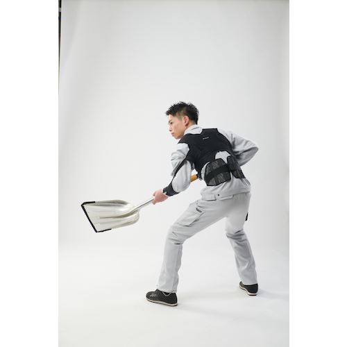 石のコト.com / DARWINGワーキングアシストAS