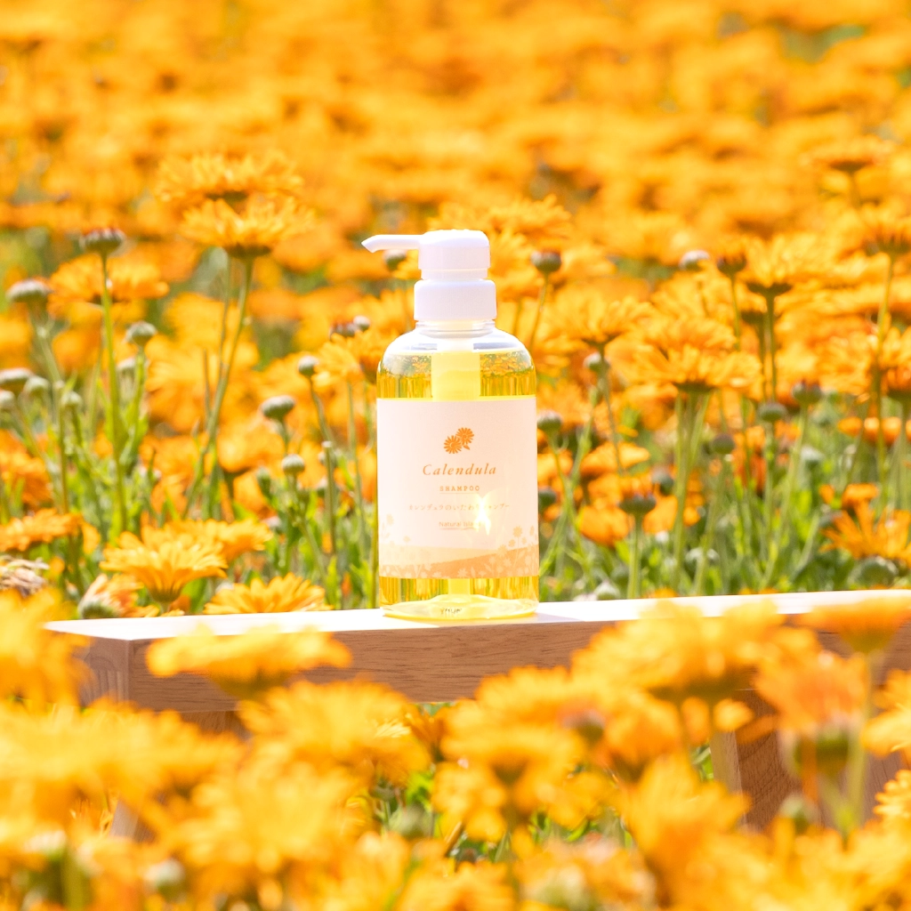 カレンデュラのいたわりシャンプー｜ナチュラルアイランド：北海道