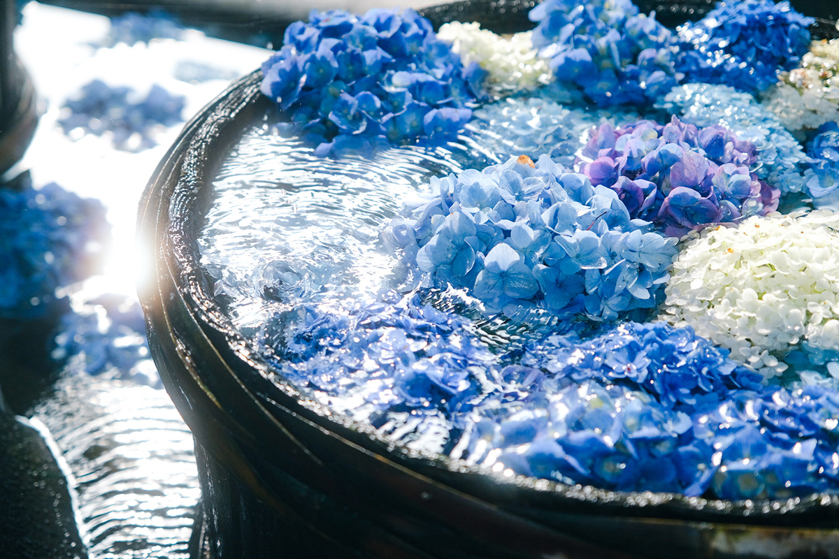 Xシリーズユーザーインタビュー】『X-T4』とフォトグラファー宵月絃 花