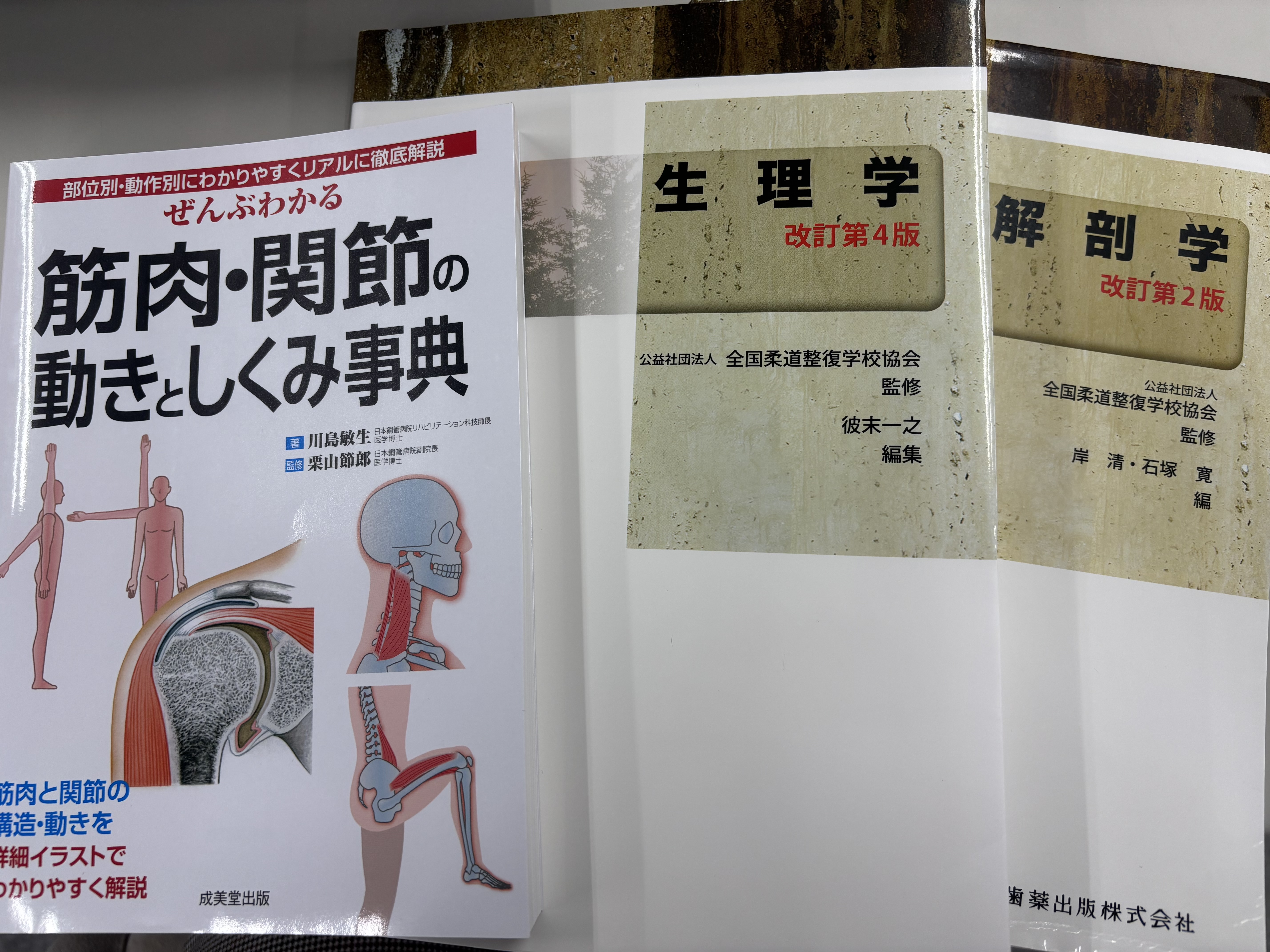 柔道整復師科・鍼灸師科】入学前サポートプログラムに向けて！ | 河原