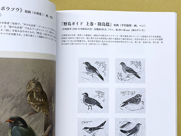 図録 幻の野鳥図鑑「原色野鳥ガイド」 | 美術・芸術書、写真集 | 事例