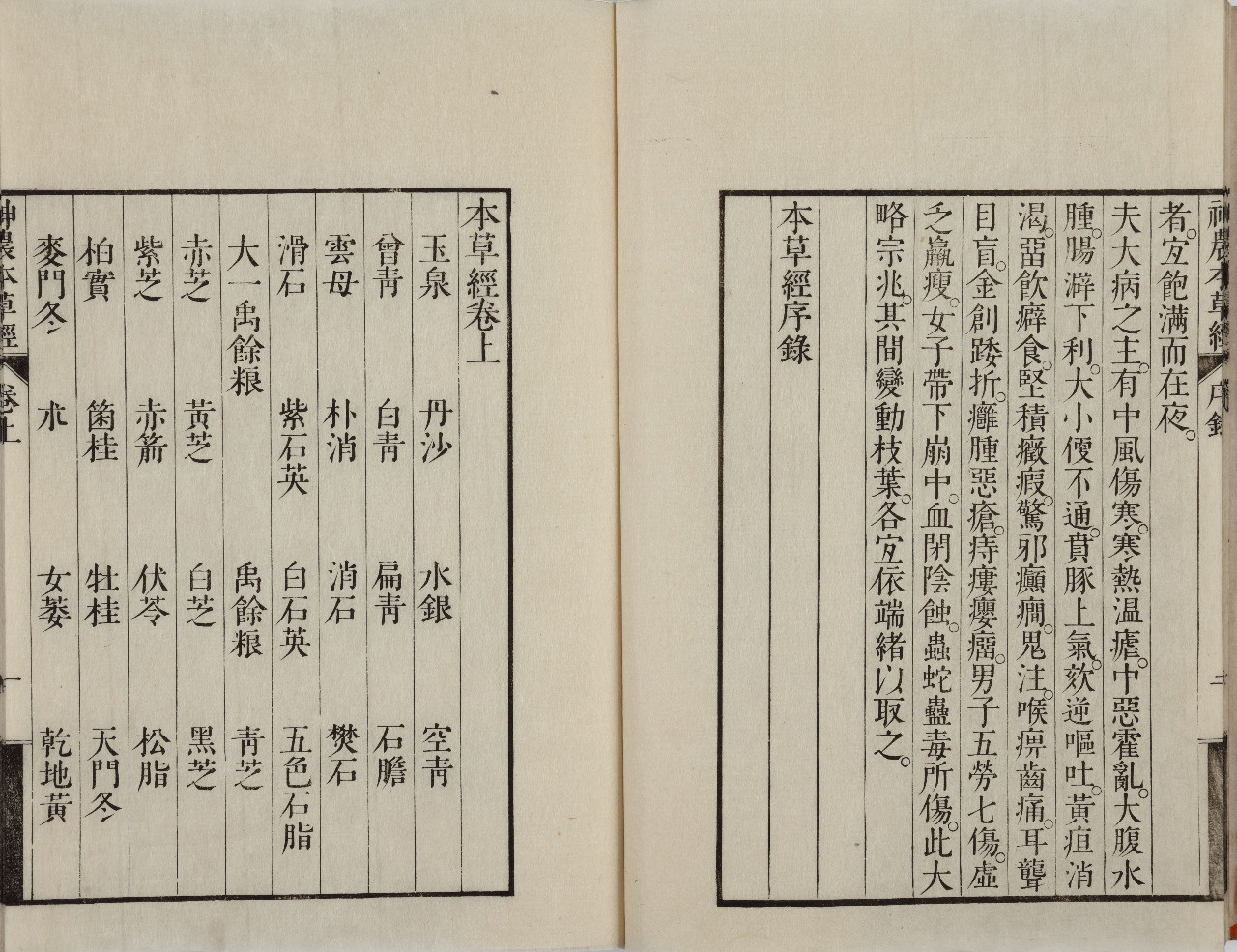 植物への恋文（ラブレター） ～本草書から牧野富太郎の手紙まで