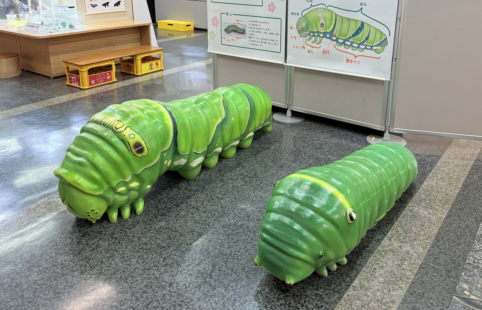 夏限定！特別展「いたこんカーニバル2025」開催 7月19日（土）〜9月29