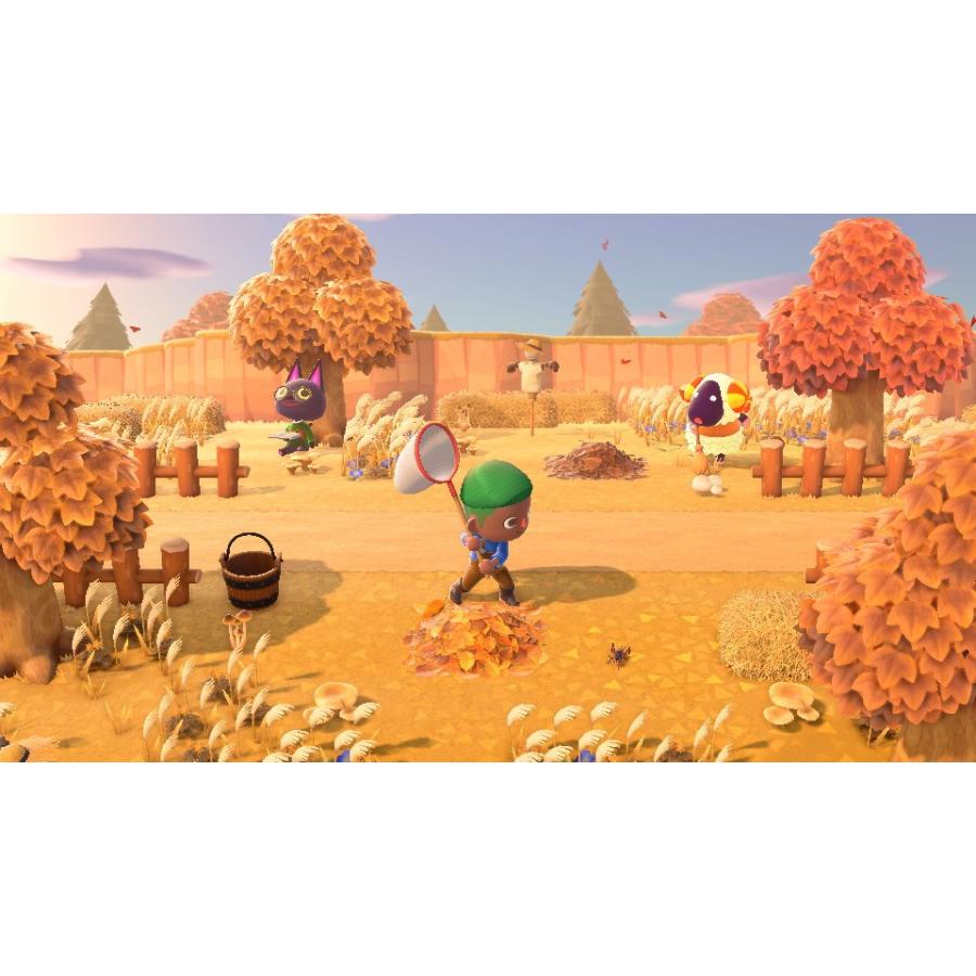 任天堂（Nintendo） Switch あつまれ どうぶつの森（2020年3月