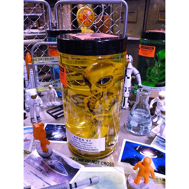 累計販売数5000個突破！ エリア51 エイリアンのホルマリン漬け