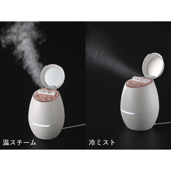 YA‐MAN（ヤーマン） YA-MAN クリアスキンナノスチーマー 選べるおまけ