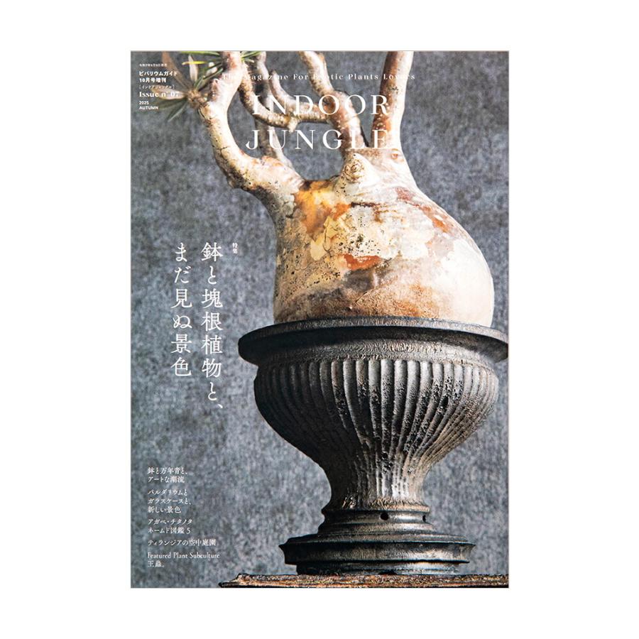 INDOOR JUNGLE インドア・ジャングル2025 No．7
