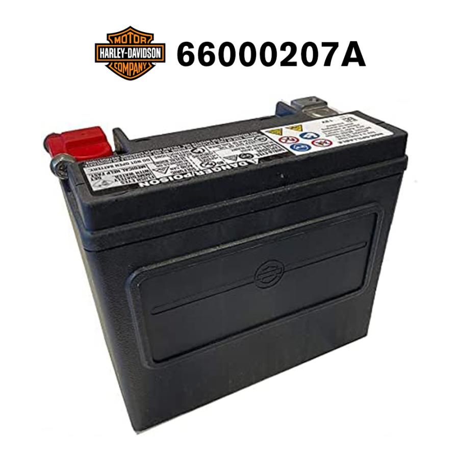 Harley Davidson（ハーレー・ダビッドソン） HD 66000207A ハーレー