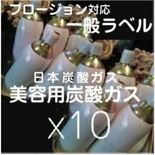 プロージョン対応 炭酸ガスカートリッジ 10本組(パッキン付き) : and