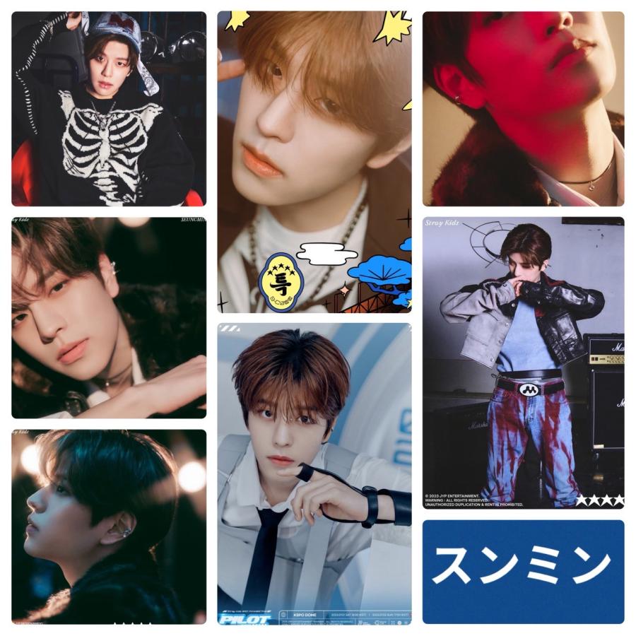 スンミン StrayKids ストレイキッズ スキズ ポストカードセット シール