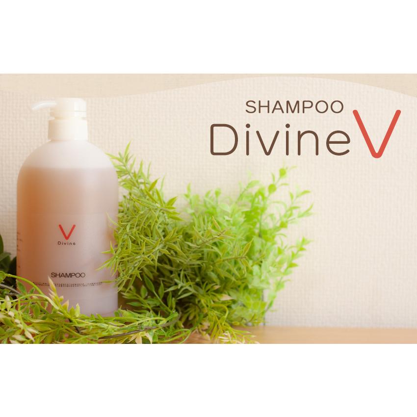 ディバイン ナノ シャンプー V 1000ml ノンシリコンシャンプー