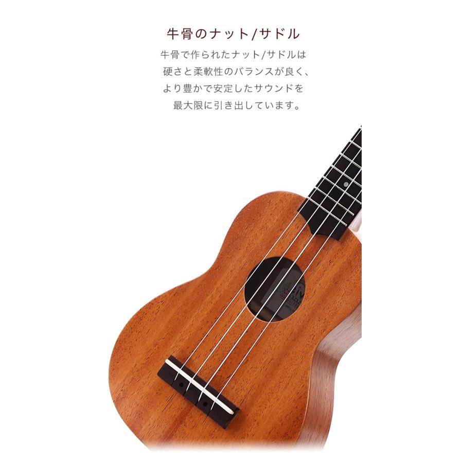 初心者セット8点！高級エスニック風ケース付！】ELVIS・U100S