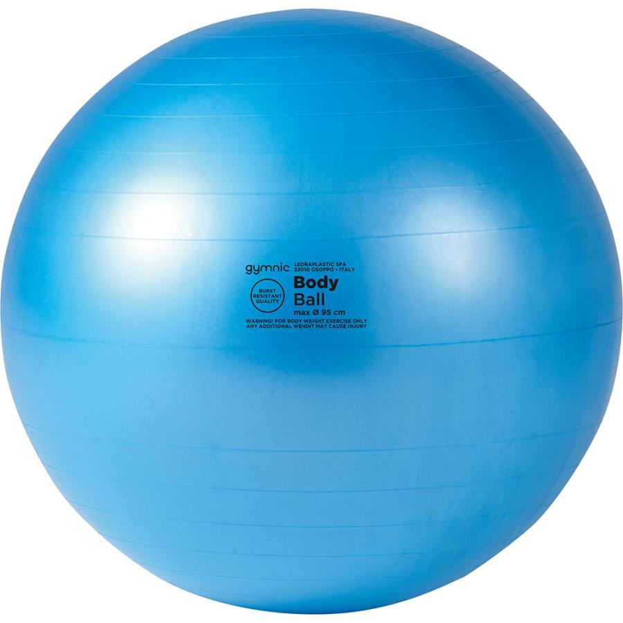 ダンノ ギムニクボディボール 95 DANNO D5919 : あきちゃん堂 - 通販