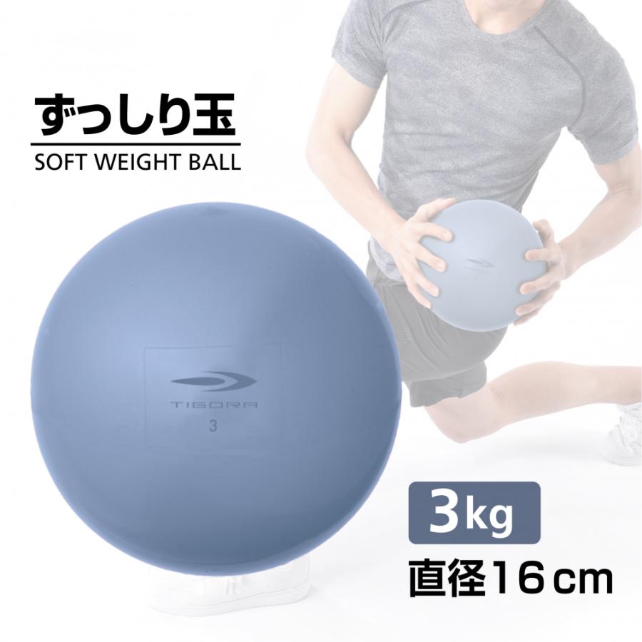 TIGORA（ティゴラ） 砂鉄 表面PVCソフトウェイトボール3KG TR
