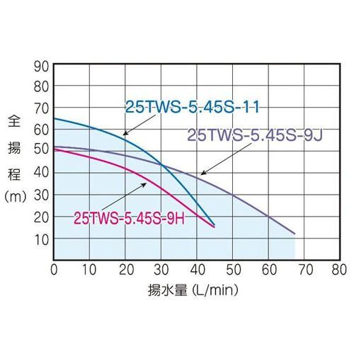 特価】テラル 25TWS-5.45S-9J 深井戸用水中ポンプ (450W/単相100V/50Hz