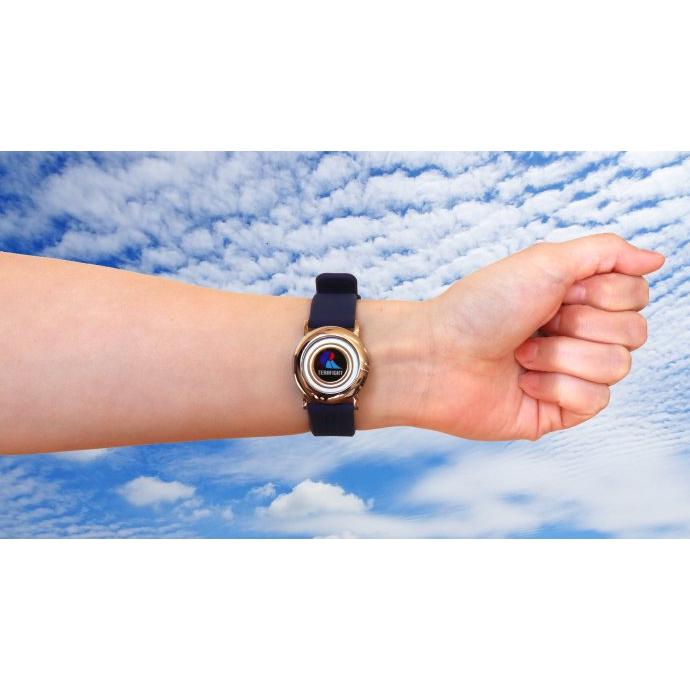 ゼロ磁場パワー テラファイト ゼロリストゴールド ゼロ磁場発生装置