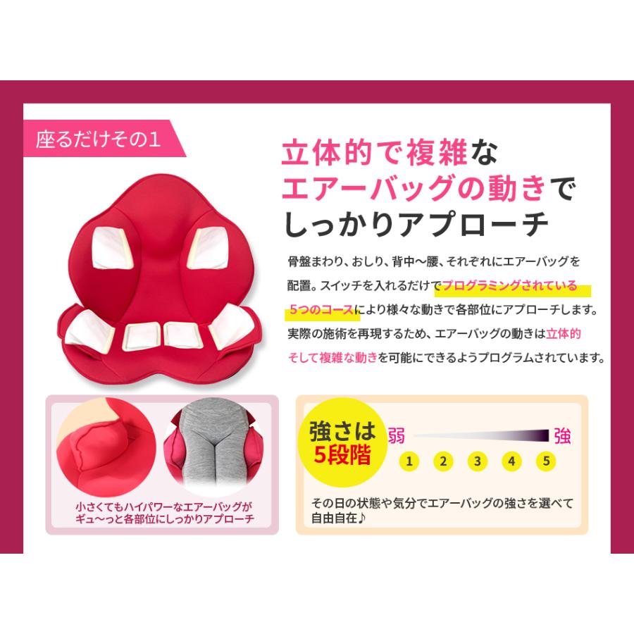 ブランド公式＆送料無料】芦屋美整体 骨盤スリムスタイリーエアー