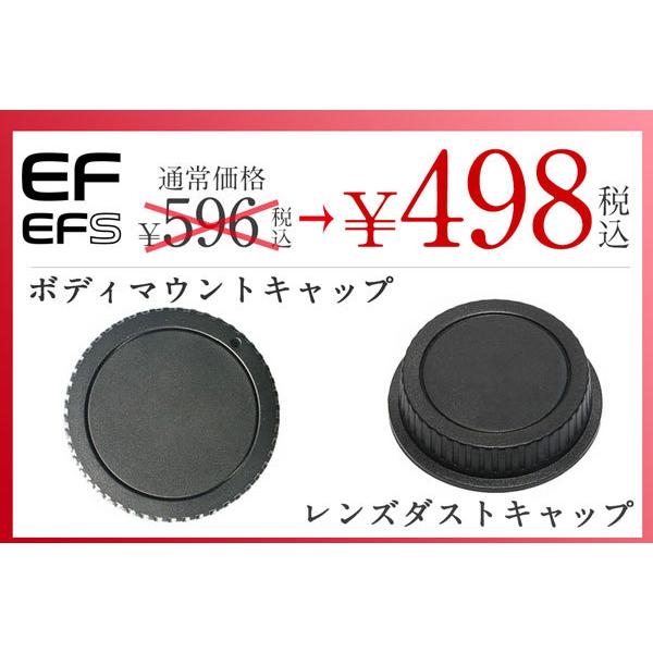 Canon EF EF-S マウント用 レンズダストキャップ & ボディマウント