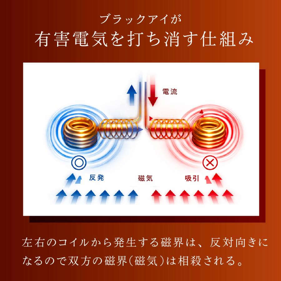 unica（ユニカ） 丸山式コイル ブラックアイ 6個入 貼替シール30枚入