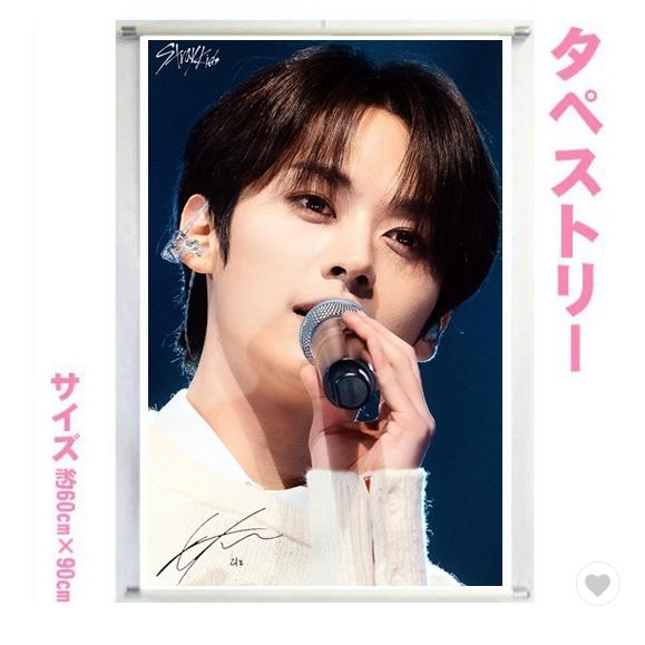 リノ StrayKids ストレイキッズ スキズ 60cm×90cm タペストリー 韓