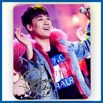 送料無料☆BIGBANG V.I スンリ マウスパッド : バウンスショップ