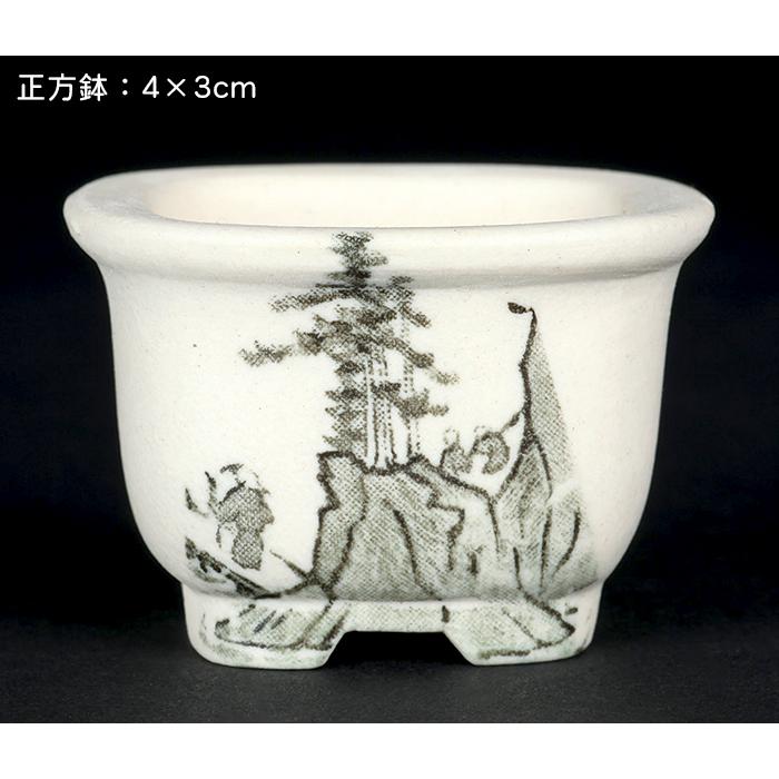 盆栽鉢 植木鉢 「瀬戸焼文山窯絵付小鉢12点セット」 絵鉢 絵付鉢 2号