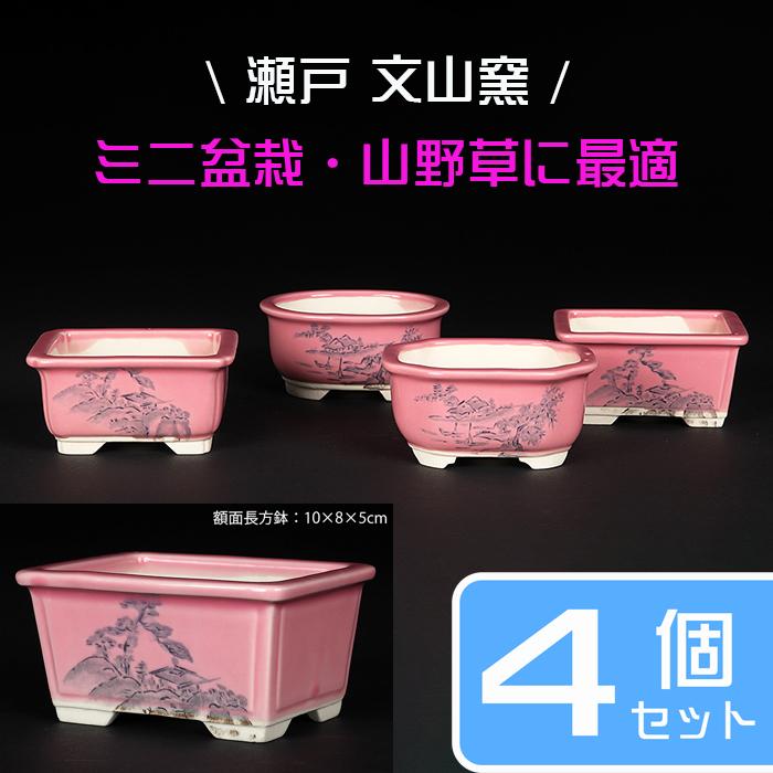 盆栽鉢 植木鉢 瀬戸焼文山窯色絵鉢4点セット・桃 色鉢 絵付鉢 絵鉢 3号