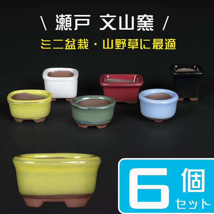 盆栽鉢 「瀬戸焼文山窯色豆鉢6点セット」 植木鉢 色鉢 豆鉢 1号3cm