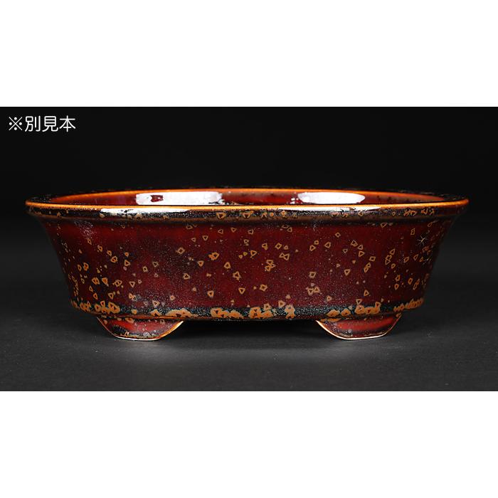 盆栽鉢 植木鉢 「平安泉山辰砂釉星結晶楕円鉢」 山草鉢 清水焼 京焼