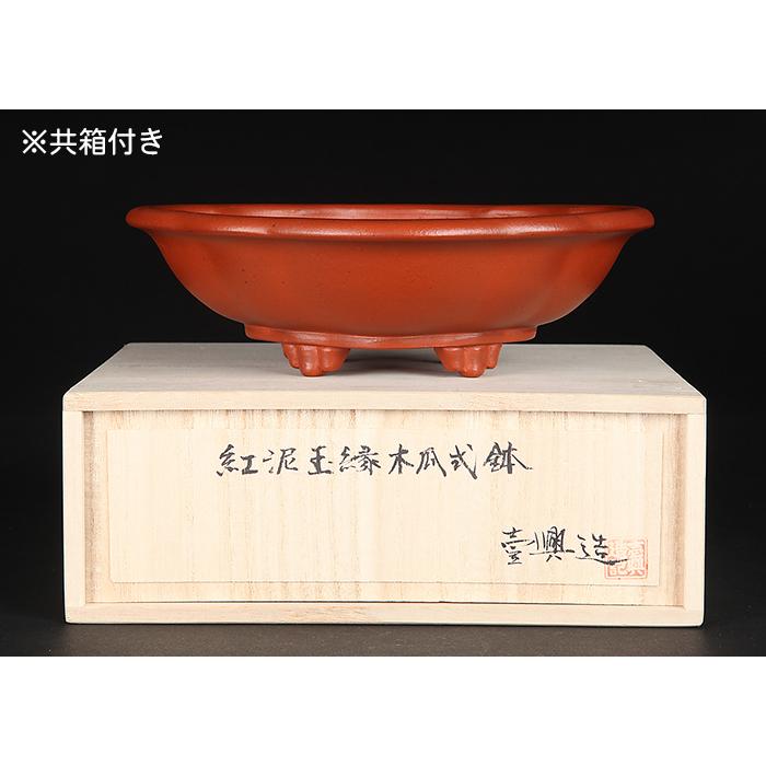 盆栽鉢 「壱興紅泥木瓜式鉢」 植木鉢 作家鉢 一弘 壱興造記 常滑 共箱