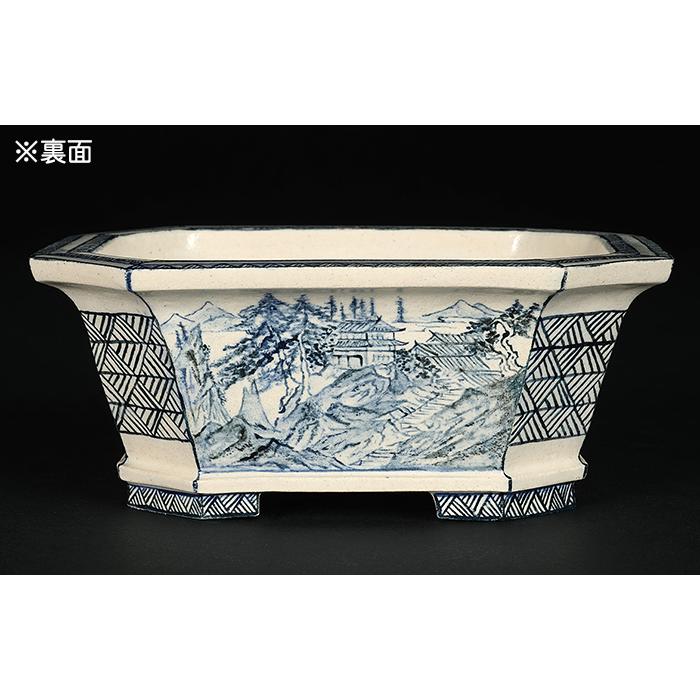 盆栽鉢 「高山染付山水図長方鉢」 植木鉢 絵付鉢 作家鉢 磁器 呉須 5号
