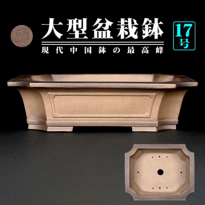 盆栽鉢 烏泥外縁隅切額面長方鉢 植木鉢 中国鉢 張氏製陶 落款あり 17号