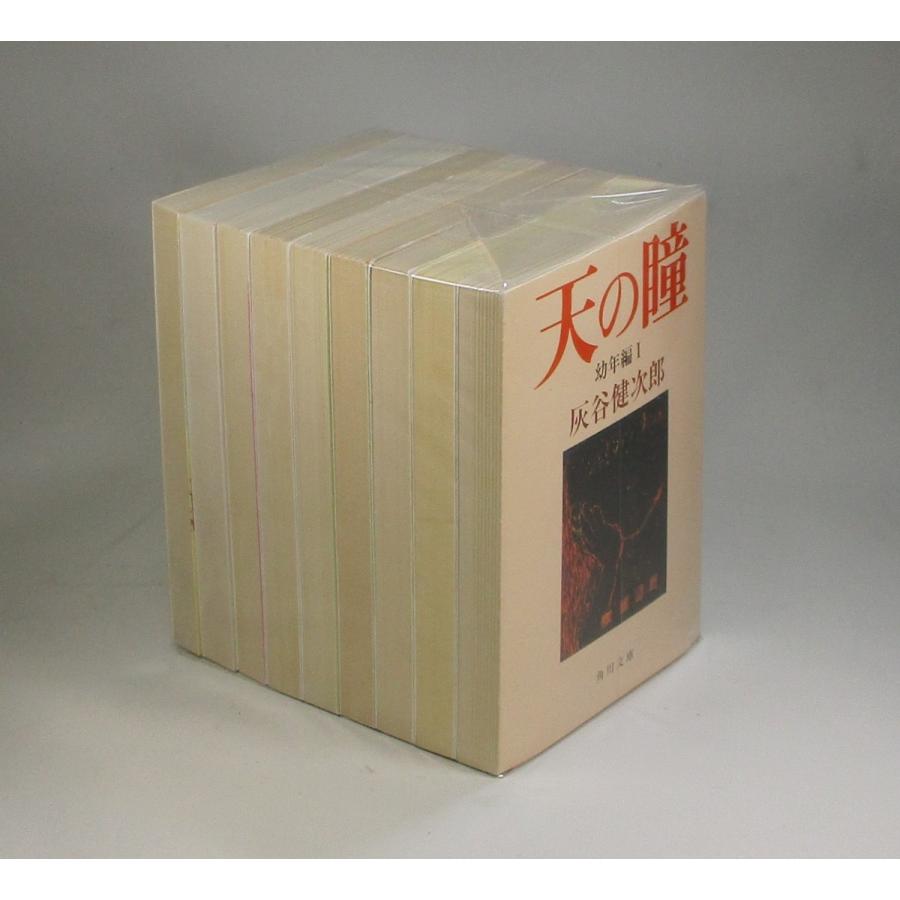 天の瞳 全9冊 灰谷健次郎 角川文庫 全巻 セット 全巻、表紙アルコール