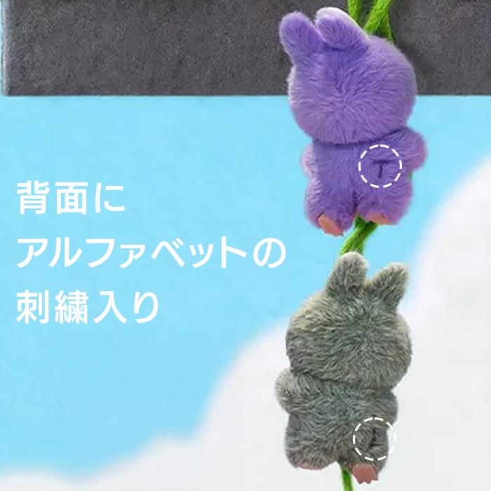 正規品】 ラブブ Labubu イニシャル らぶぶ ぬいぐるみ ミニラブブ POP