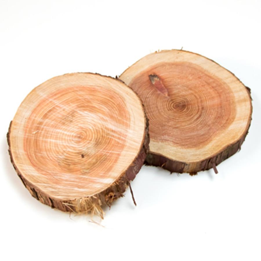 川島材木店 丸太の輪切り Mサイズ 2枚セット 約直径21x厚3cm 丸い木