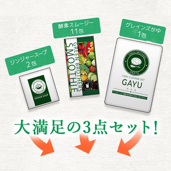 GREEN BROTHERS 1DAY CLEANSE SET 2つセット 公式】GB 1DAY CLEANSE