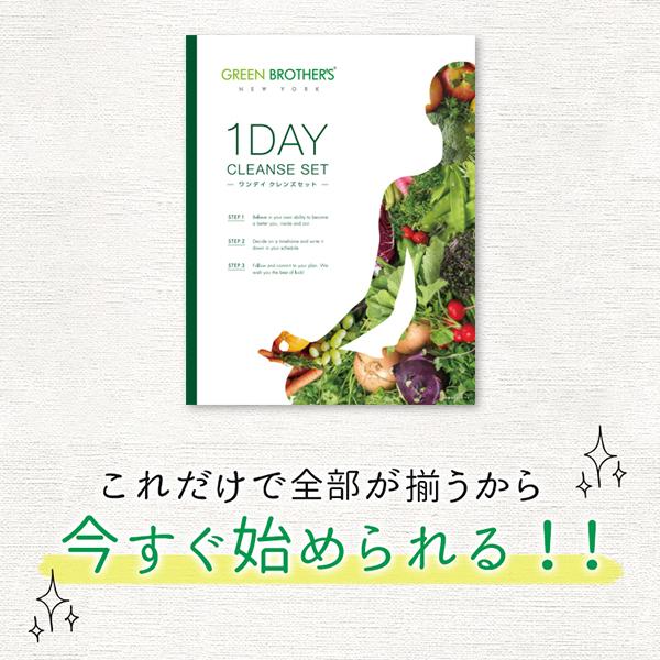 公式】☆3個セット☆GB 1DAY CLEANSE SET（ワンデイクレンズセット