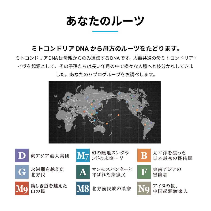 ジーンライフ / GeneLife：Genesis2.0 Plus] 約360項目の総合遺伝子