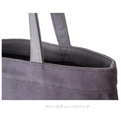 LOUIS VUITTON（ルイ・ヴィトン） 美術館 限定 トートバッグ エコ