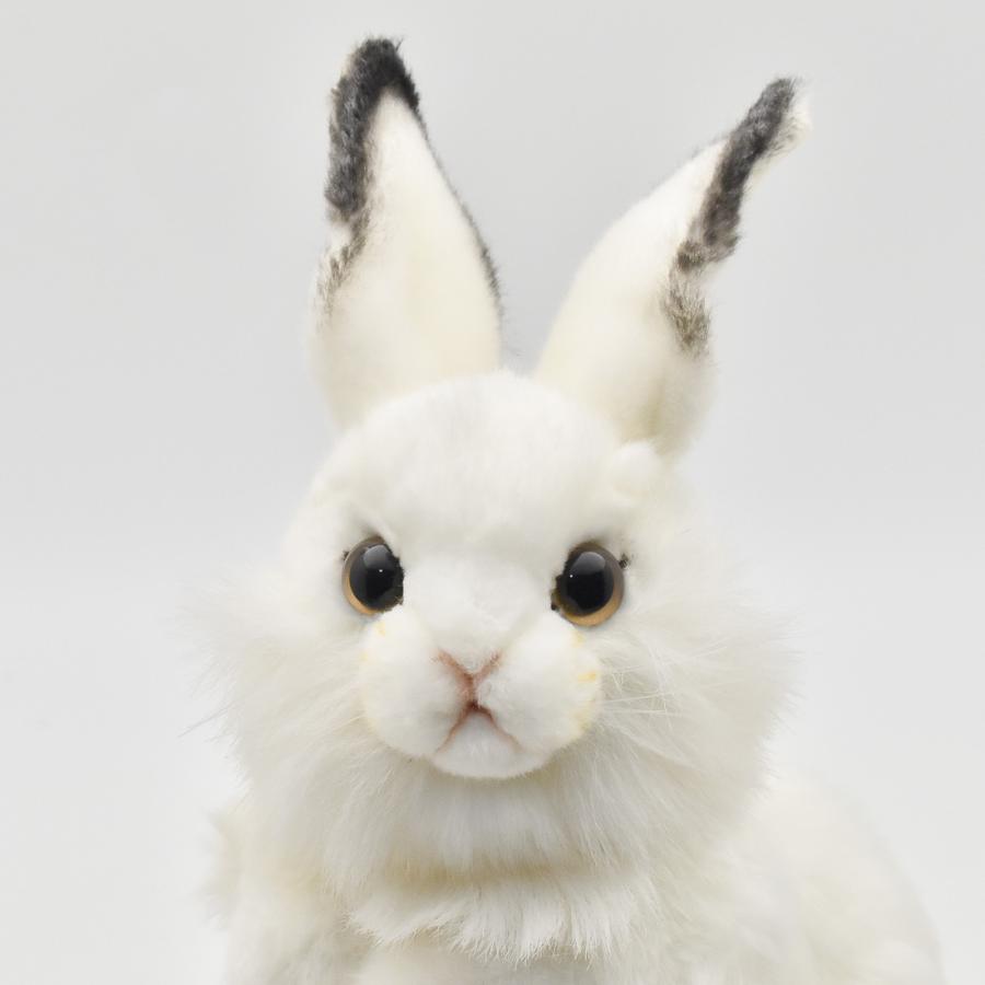 HANSA BH3313 シロウサギ しろうさぎ 白兎 ぬいぐるみ リアル : Dear
