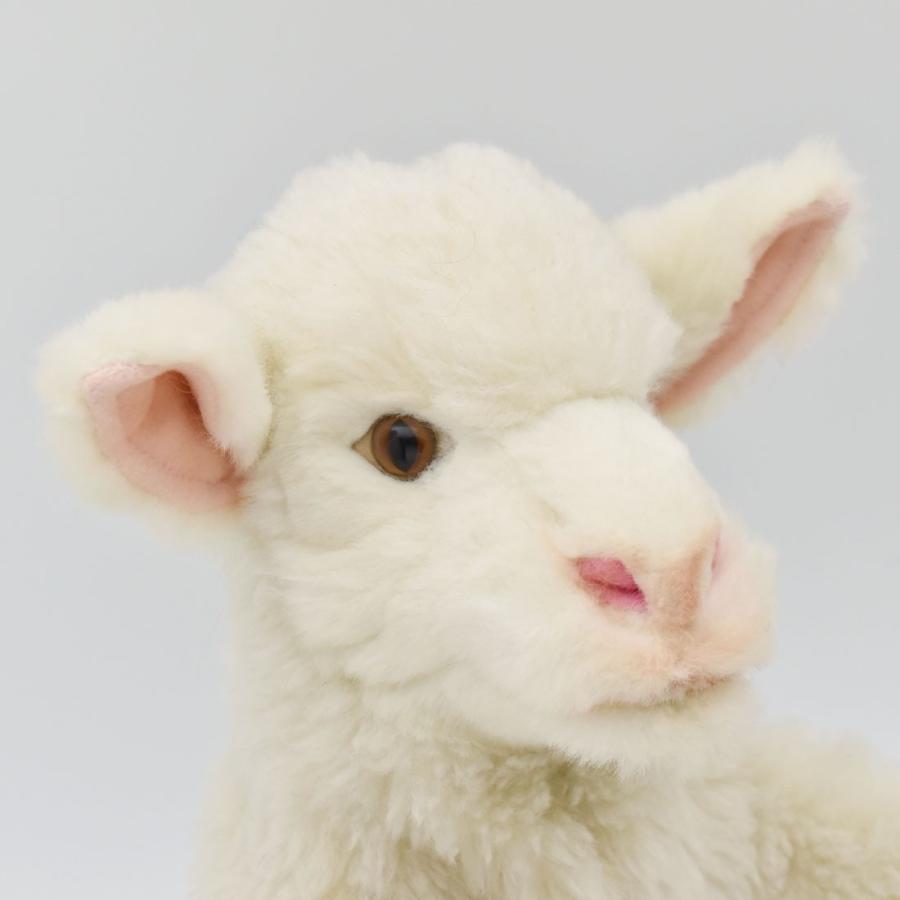 HANSA BH7340 ヒツジ ハンドパペット ひつじ 羊 リアル : Dear Bear