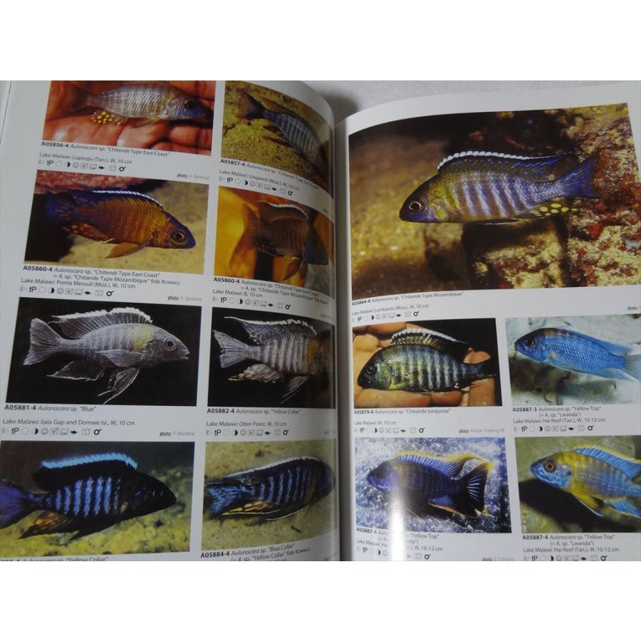 マラウイ シクリッド 洋書 Malawicichliden [6k] マラウイ シクリッド