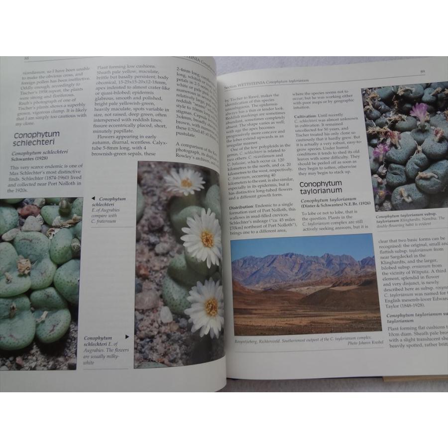 多肉植物 洋書 Genus Conophytum A Conograph Steven Hammer