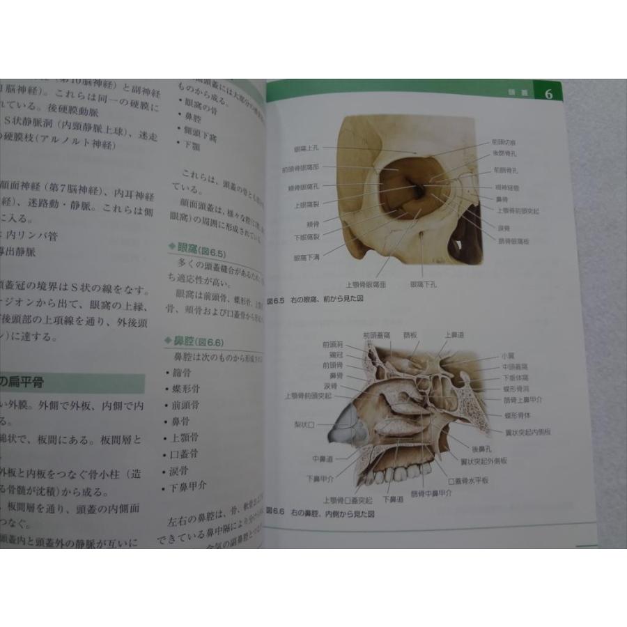 クラニオセイクラル・オステオパシー 頭蓋仙骨 本 : パーツワイド