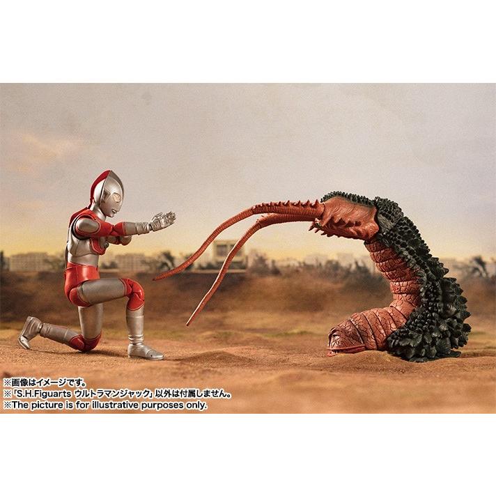BANDAI（バンダイ） S.H.フィギュアーツ 「帰ってきたウルトラマン