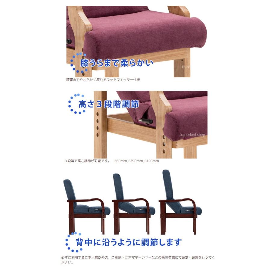 リハテック フランスベッド リハテック 円背サポートチェア ENN-01 NA