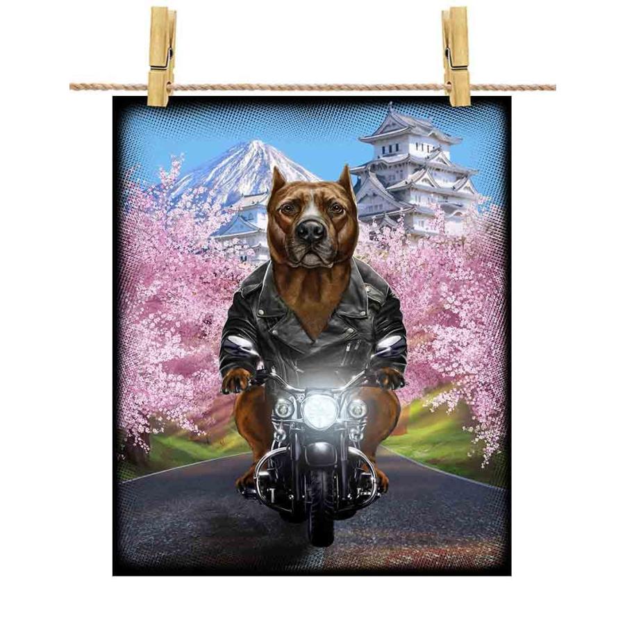 茶毛のアメリカンピットブル ドッグ 犬 いぬ バイク 桜 日本】ポスト