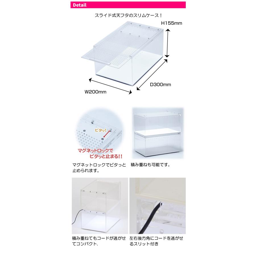 三晃商会 爬虫類 飼育ケース Repti wild レプタイルボックス T1 爬虫類