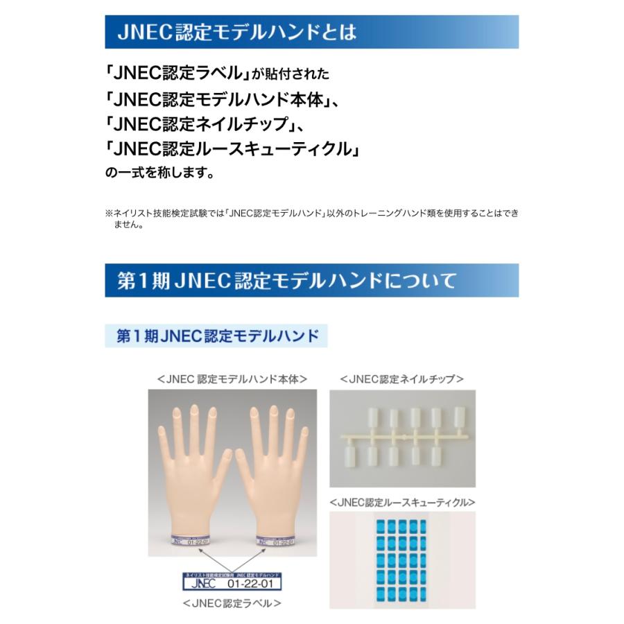 JNEC認定 STモデルハンド 3点セット ネイルチップ/ルース