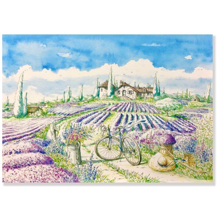 ポストカード 初夏・内田新哉ポストカード【Lavender】 SU-742 絵葉書